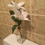 A&h Apartment *