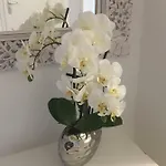 Apartment A&h