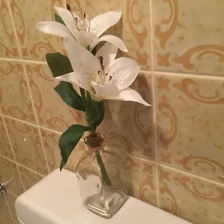 A&h Appartement *