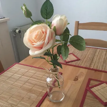 A&h Daire Oberhausen (North Rhine-Westphalia)